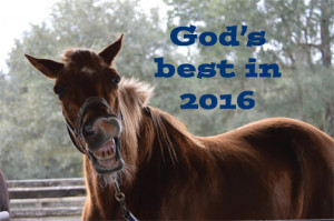 God's Best in 2016